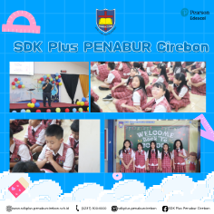 sdk